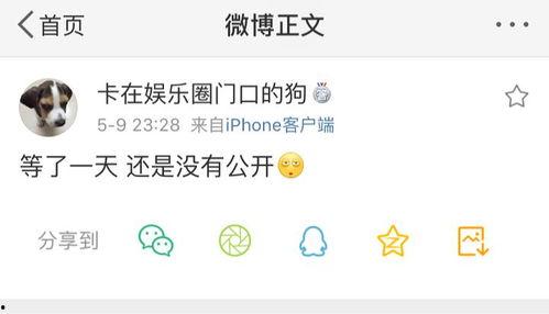 511吃瓜爆料,揭秘娱乐圈最新热点事件