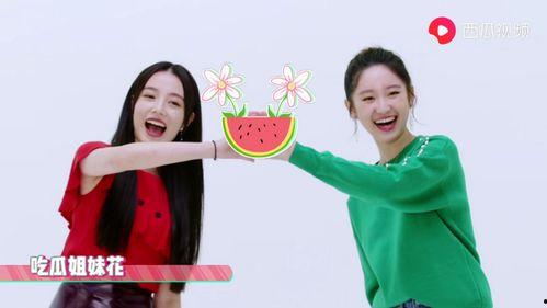 吃瓜爆料姐妹视频大全在线观看,吃瓜爆料姐妹视频大全，精彩瞬间一网打尽！