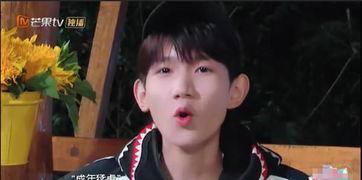 吃瓜爆料贾乃亮王源,揭秘娱乐圈背后的故事