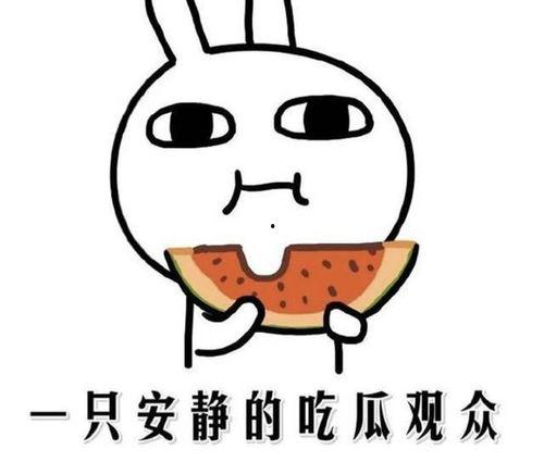 吃瓜爆料行简,行简背后的故事大揭秘